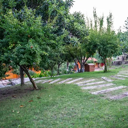 Trinitys Forest *
