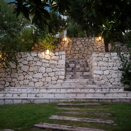 Trinitys Forest