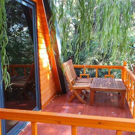 Trinitys Forest Appartement *