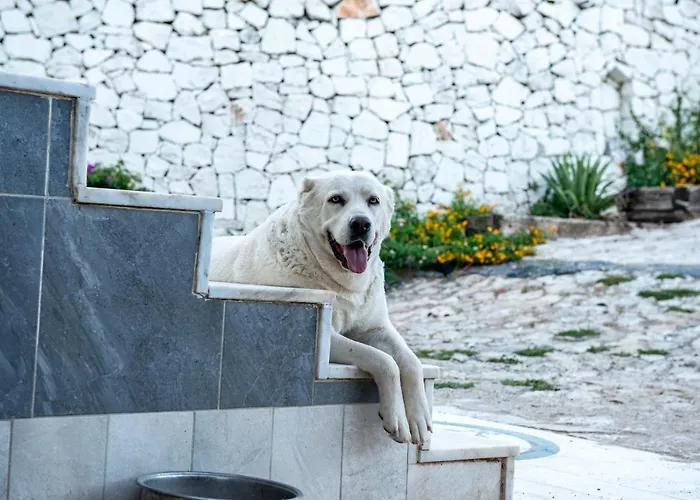 Appartement Trinitys Forest Kemer