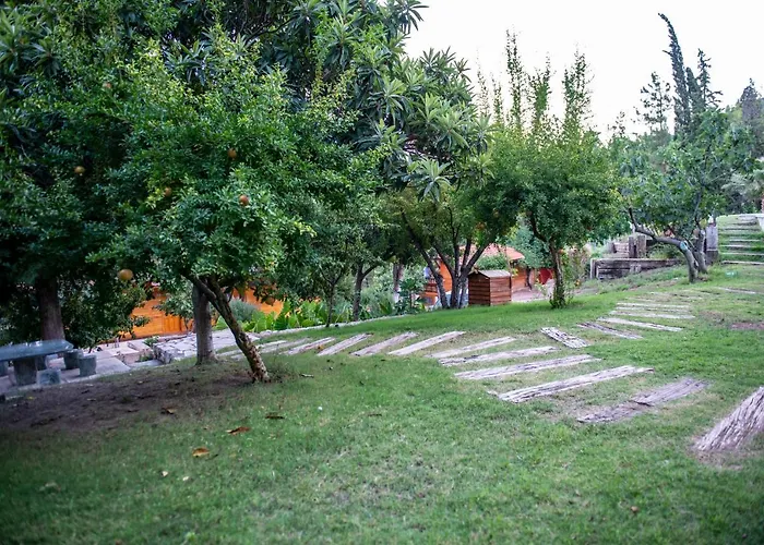 Trinitys Forest *