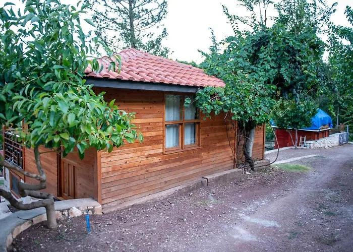 Trinitys Forest Appartement
