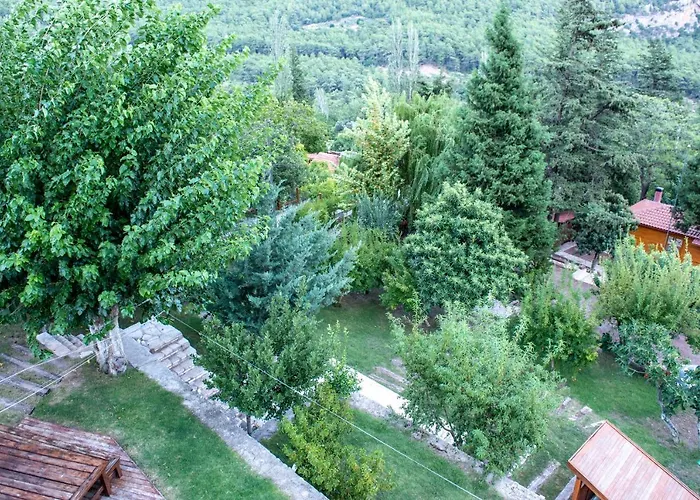 Trinitys Forest *