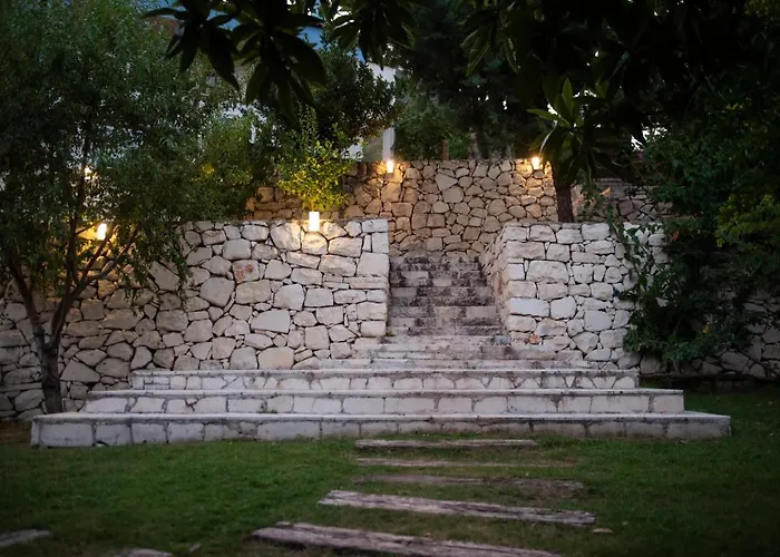 Trinitys Forest