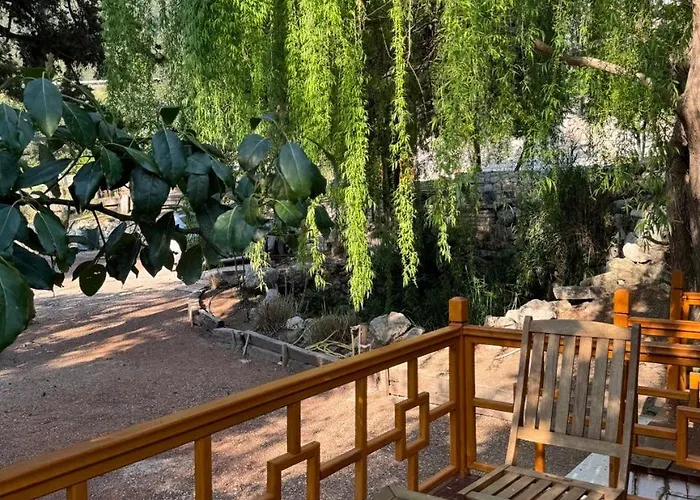 Appartement Trinitys Forest *