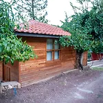 Trinitys Forest Διαμέρισμα