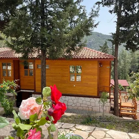 Trinitys Forest Apartamento *