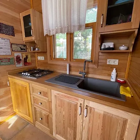 Daire Trinitys Forest