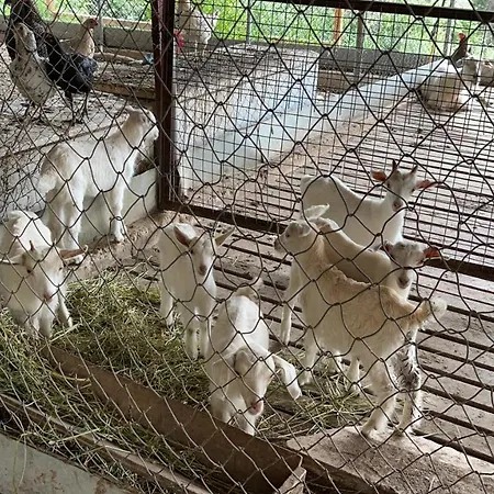 Trinitys Forest Apartment *