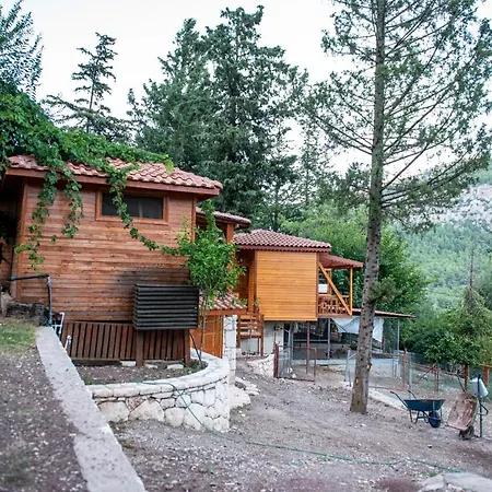 Trinitys Forest Kemer