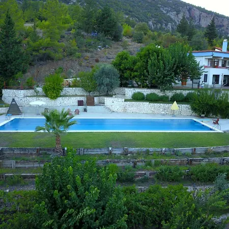 Trinitys Forest Daire