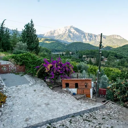 Daire Trinitys Forest Kemer