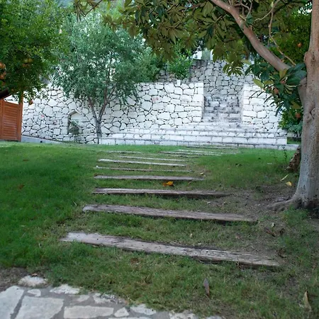 Trinitys Forest *