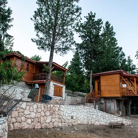 Trinitys Forest Daire Kemer