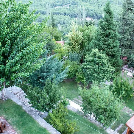 Trinitys Forest *