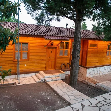 Trinitys Forest Daire