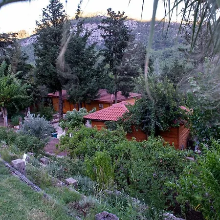 Apartamento Trinitys Forest *