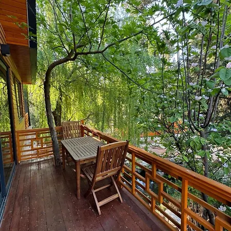 Trinitys Forest * Kemer