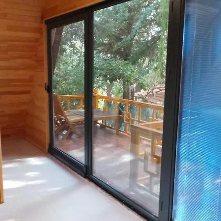 Apartment Trinitys Forest