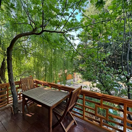 Apartamento Trinitys Forest *