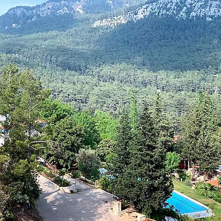 Apartment Trinitys Forest *