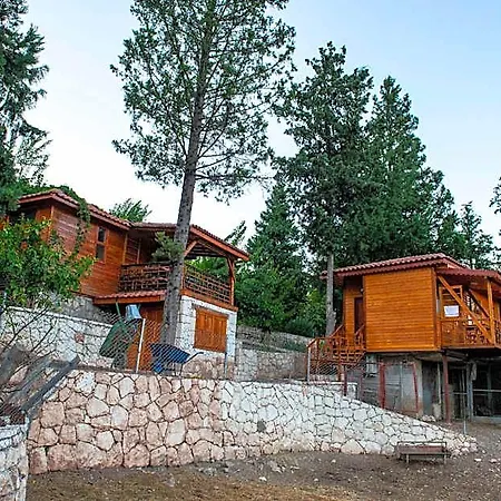 Trinitys Forest Kemer