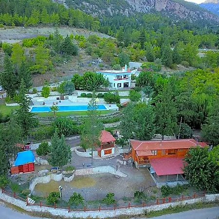Trinitys Forest Apartment