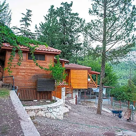 Trinitys Forest
