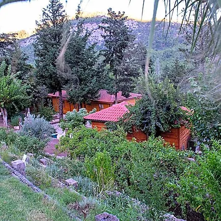 Trinitys Forest Apartment