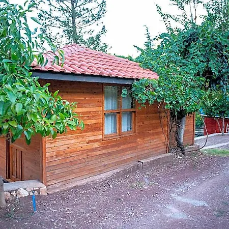 Apartment Trinitys Forest *