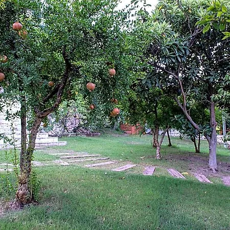 Trinitys Forest Apartment Kemer