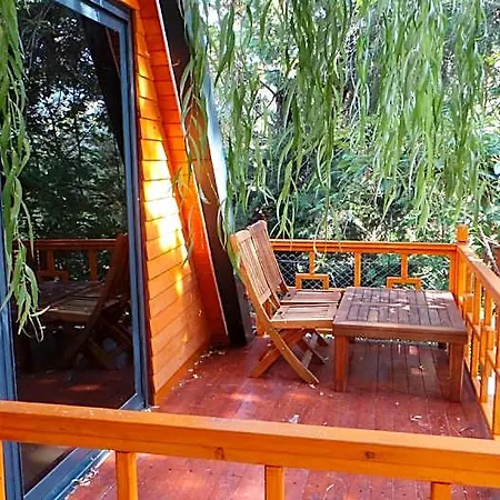 Trinitys Forest Apartment Kemer