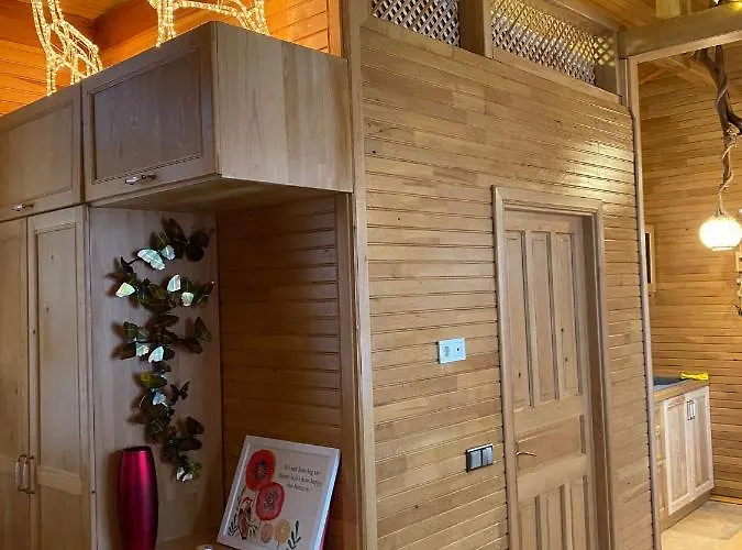 Trinitys Forest * 凯梅尔