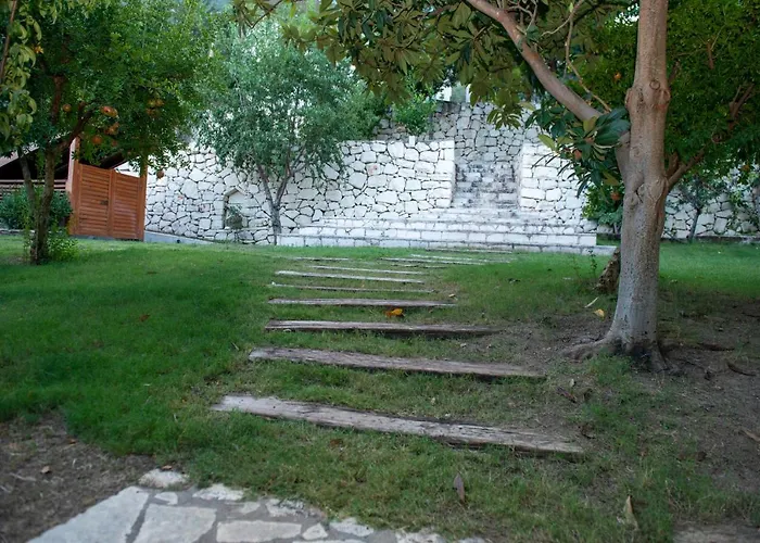 Trinitys Forest *