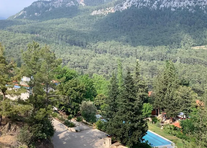 Trinitys Forest Apartment