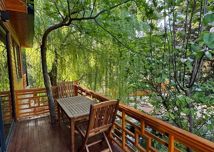 Trinitys Forest * Kemer