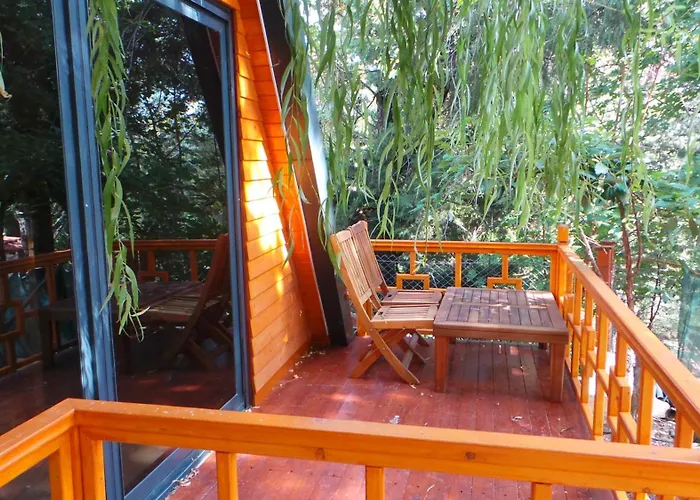 Trinitys Forest Apartment *