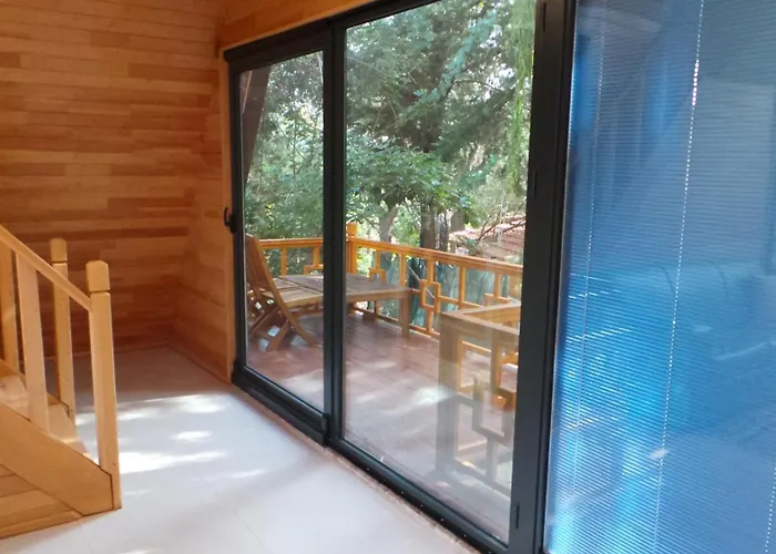 Apartment Trinitys Forest