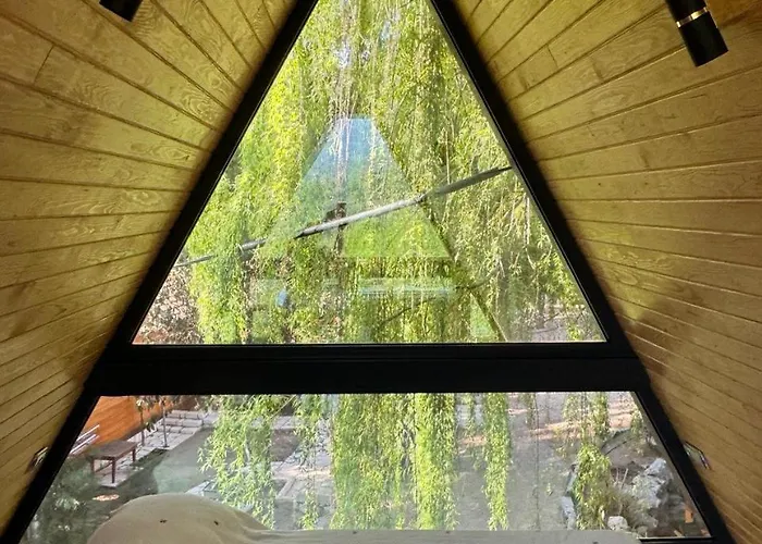 Apartment Trinitys Forest