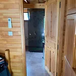 Daire Trinitys Forest