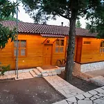 Trinitys Forest Daire