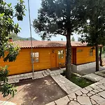 Trinitys Forest