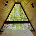 Daire Trinitys Forest