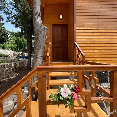 Trinitys Forest קמר