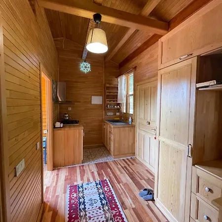 Trinitys Forest קמר