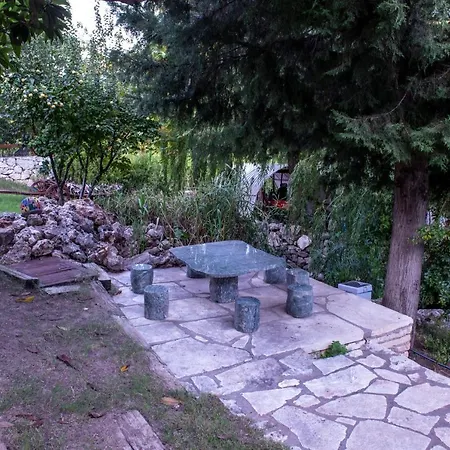 Trinitys Forest קמר