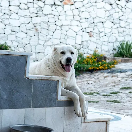 דירה Trinitys Forest קמר