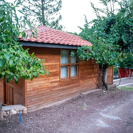 Trinitys Forest דירה