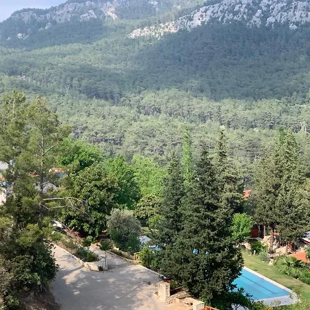 Trinitys Forest דירה