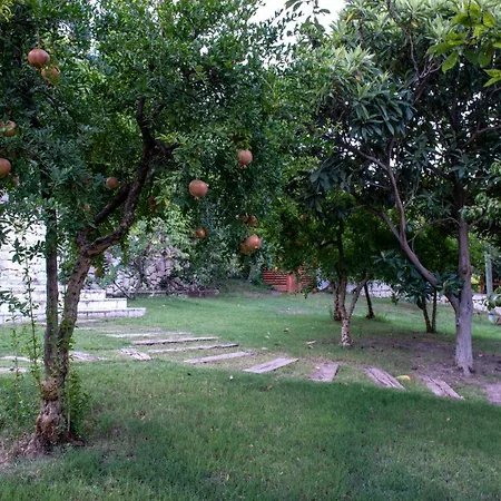 Trinitys Forest דירה